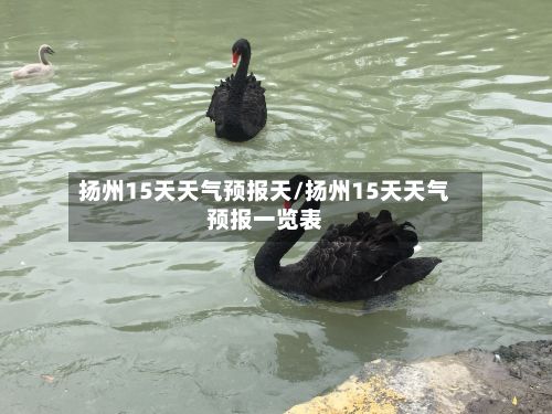 扬州15天天气预报天/扬州15天天气预报一览表