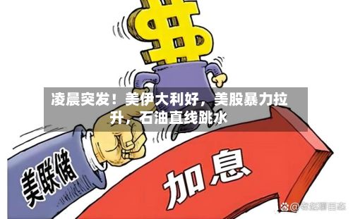 凌晨突发！美伊大利好	，美股暴力拉升，石油直线跳水-第3张图片