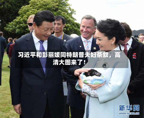 习近平和彭丽媛同特朗普夫妇茶叙，高清大图来了！
