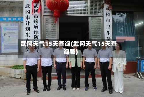武冈天气15天查询(武冈天气15天查询表)