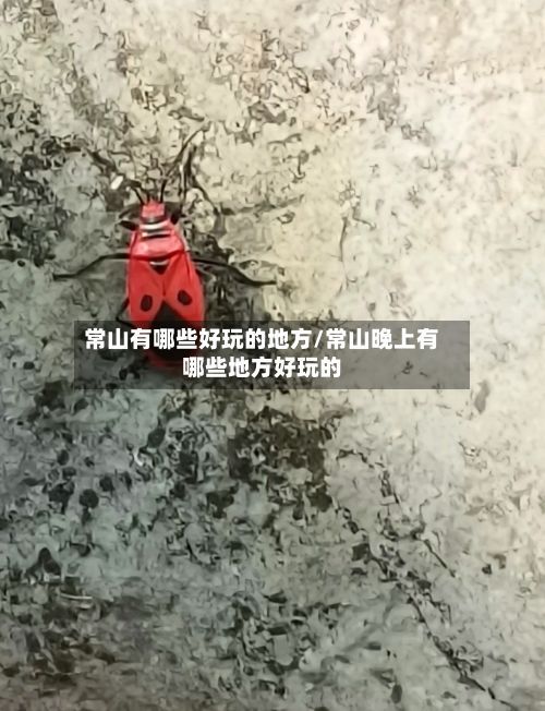 常山有哪些好玩的地方/常山晚上有哪些地方好玩的-第2张图片