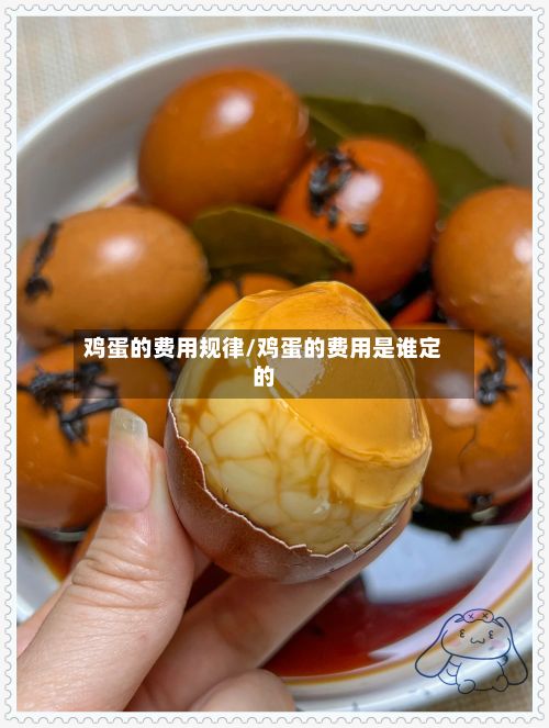 鸡蛋的费用规律/鸡蛋的费用是谁定的