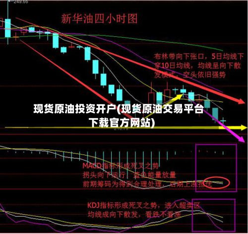 现货原油投资开户(现货原油交易平台下载官方网站)