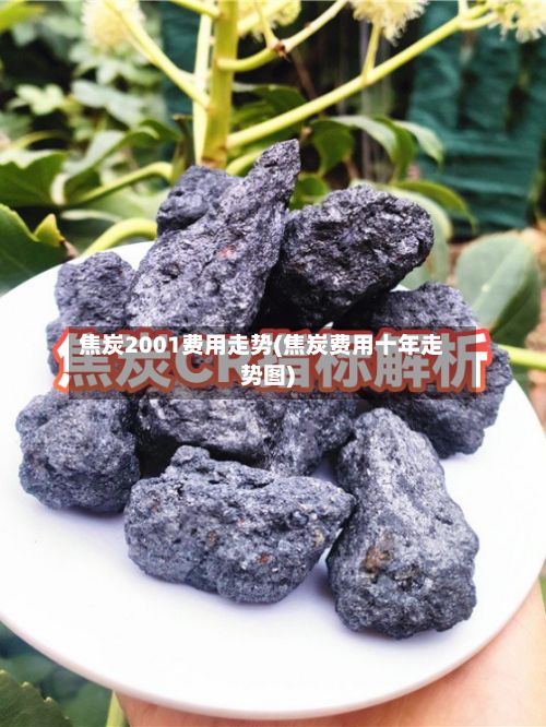 焦炭2001费用走势(焦炭费用十年走势图)