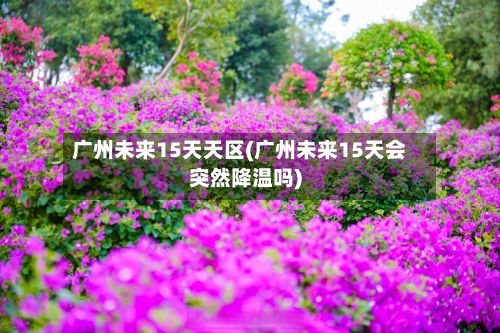 广州未来15天天区(广州未来15天会突然降温吗)-第3张图片