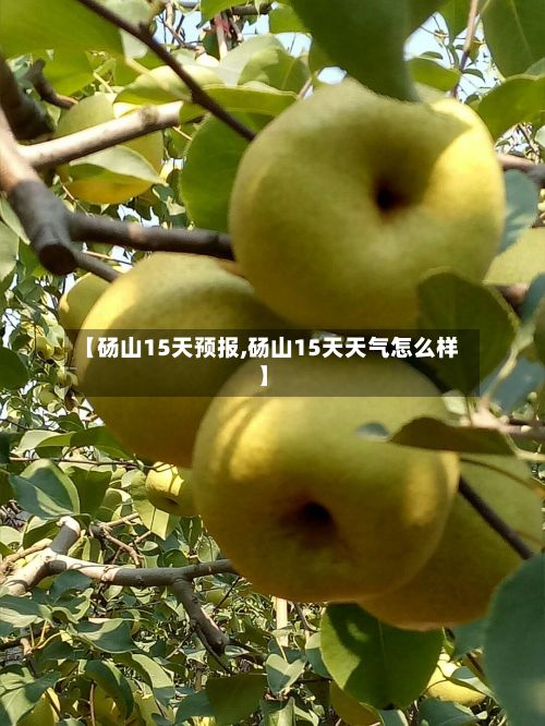 【砀山15天预报,砀山15天天气怎么样】-第2张图片
