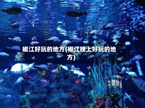 椒江好玩的地方(椒江晚上好玩的地方)