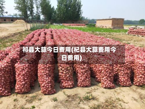 祁县大蒜今日费用(杞县大蒜费用今日费用)-第2张图片