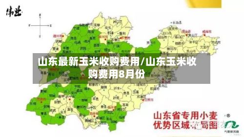 山东最新玉米收购费用/山东玉米收购费用8月份