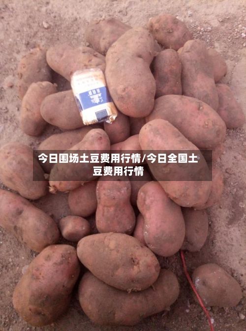 今日围场土豆费用行情/今日全国土豆费用行情