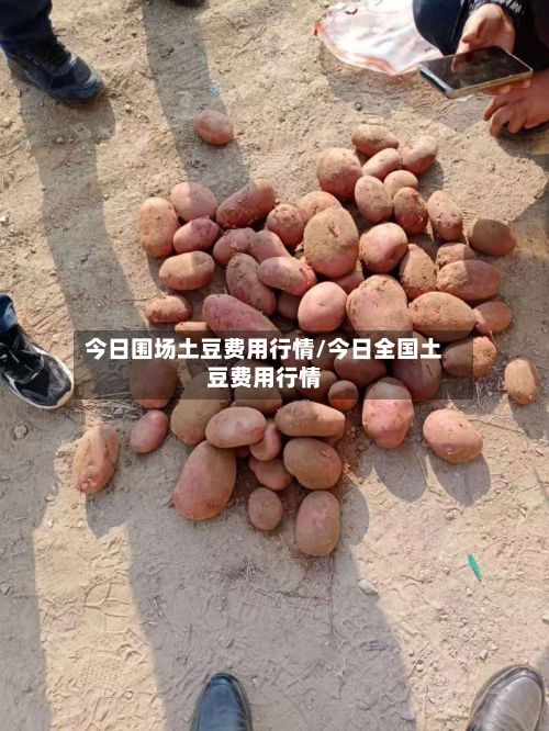 今日围场土豆费用行情/今日全国土豆费用行情-第2张图片