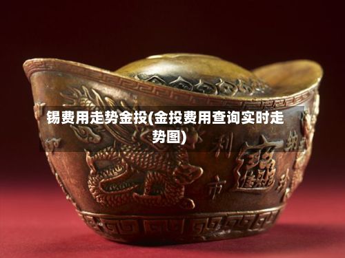 锡费用走势金投(金投费用查询实时走势图)