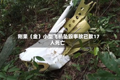 刚果（金）小型飞机坠毁事故已致17人死亡