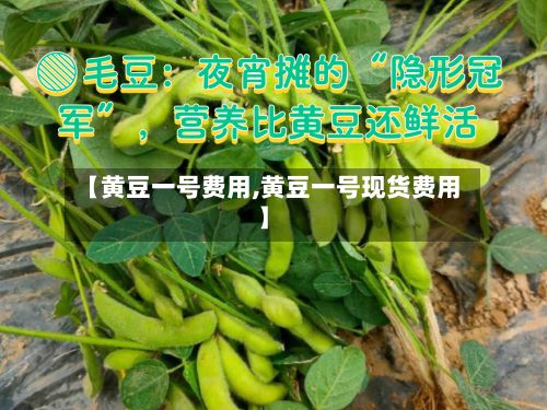 【黄豆一号费用,黄豆一号现货费用】
