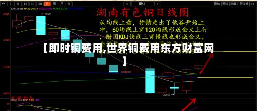【即时铜费用,世界铜费用东方财富网】-第2张图片