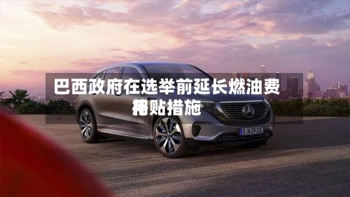 巴西政府在选举前延长燃油费用补贴措施-第2张图片