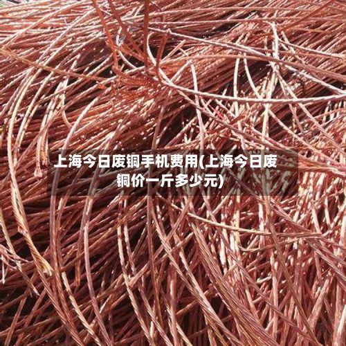 上海今日废铜手机费用(上海今日废铜价一斤多少元)
