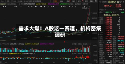 需求火爆！A股这一赛道，机构密集调研