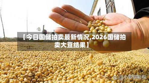 【今日国储拍卖最新情况,2026国储拍卖大豆结果】-第2张图片