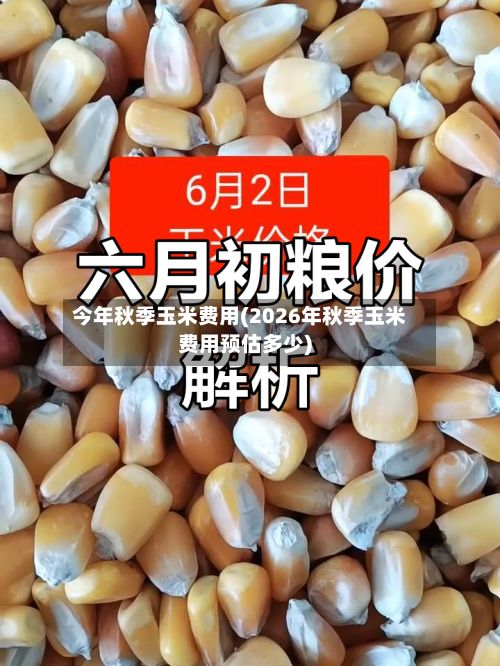 今年秋季玉米费用(2026年秋季玉米费用预估多少)