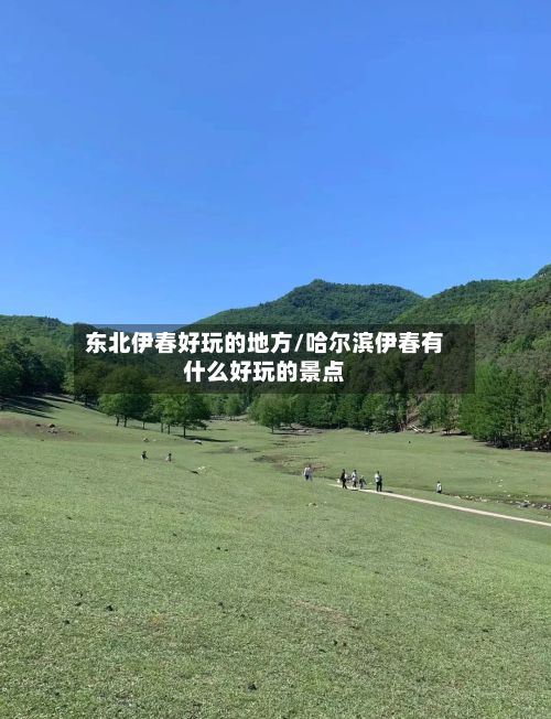 东北伊春好玩的地方/哈尔滨伊春有什么好玩的景点