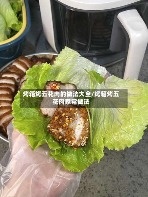 烤箱烤五花肉的做法大全/烤箱烤五花肉家常做法-第2张图片
