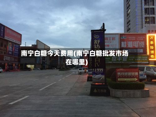 南宁白糖今天费用(南宁白糖批发市场在哪里)-第3张图片