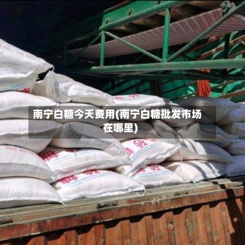 南宁白糖今天费用(南宁白糖批发市场在哪里)