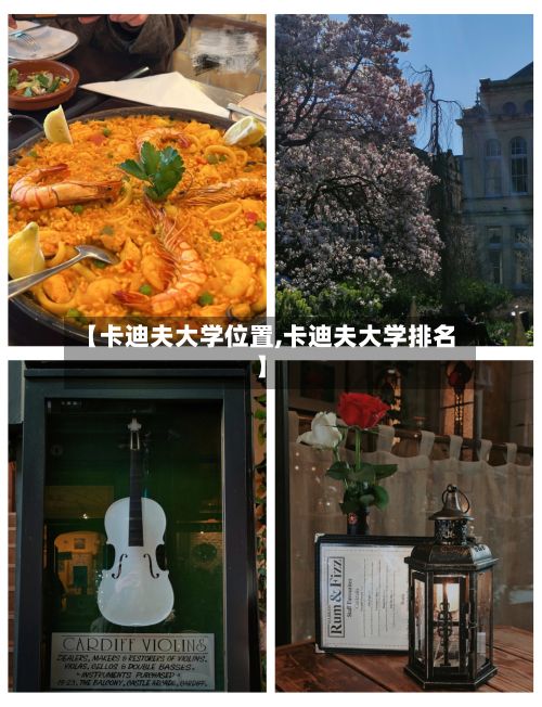 【卡迪夫大学位置,卡迪夫大学排名】