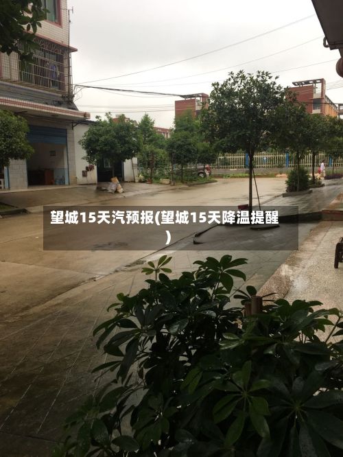 望城15天汽预报(望城15天降温提醒)