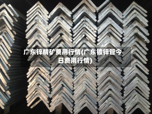 广东锌精矿费用行情(广东镀锌管今日费用行情)-第2张图片