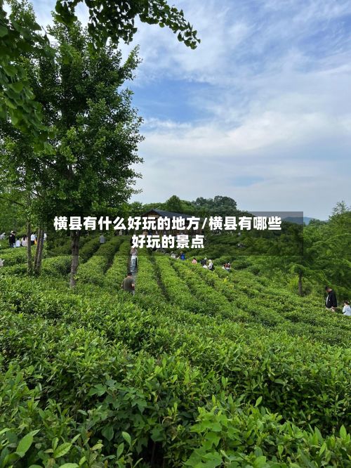 横县有什么好玩的地方/横县有哪些好玩的景点