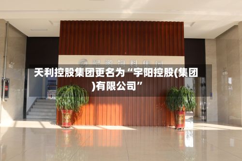 天利控股集团更名为“宇阳控股(集团)有限公司”-第1张图片