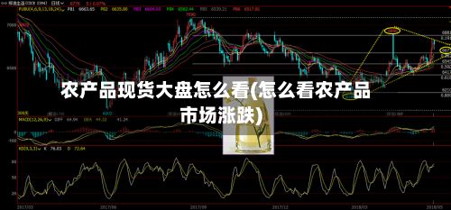 农产品现货大盘怎么看(怎么看农产品市场涨跌)