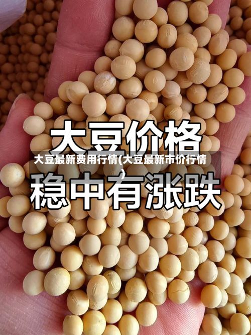 大豆最新费用行情(大豆最新市价行情)-第2张图片