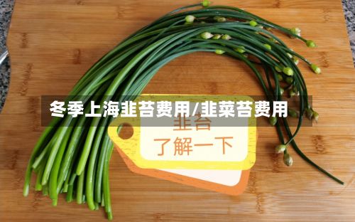 冬季上海韭苔费用/韭菜苔费用-第3张图片