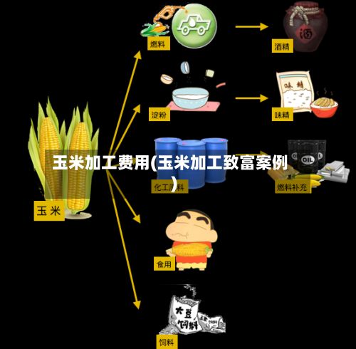 玉米加工费用(玉米加工致富案例)-第2张图片