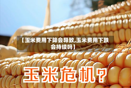 【玉米费用下降会导致,玉米费用下跌会持续吗】-第3张图片