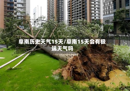 阜南历史天气15天/阜南15天会有极端天气吗-第2张图片