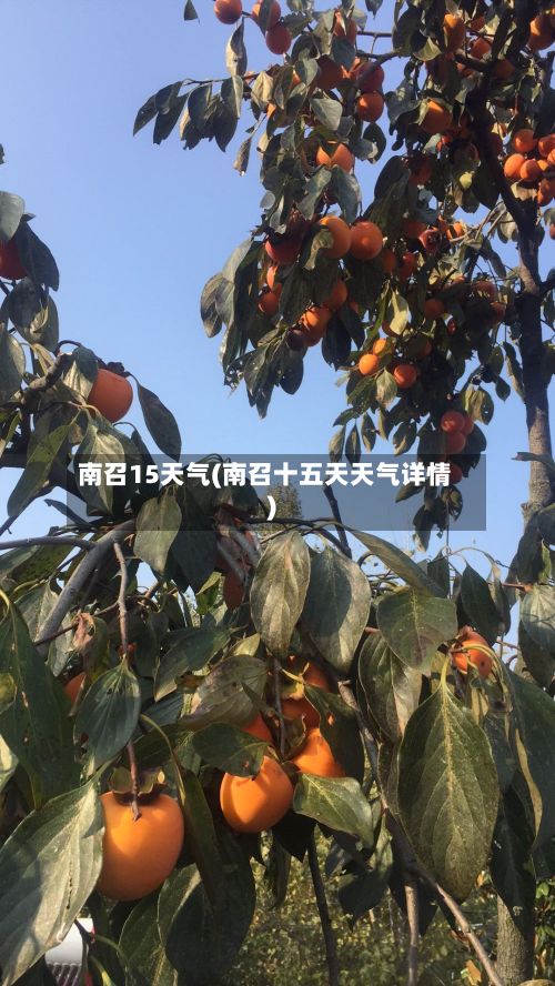 南召15天气(南召十五天天气详情)-第3张图片