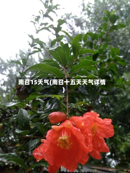 南召15天气(南召十五天天气详情)