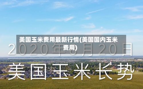 美国玉米费用最新行情(美国国内玉米费用)-第3张图片