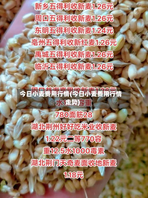 今日小麦费用行情(今日小麦费用行情走势)-第2张图片