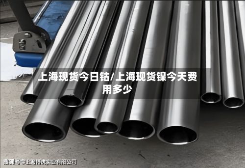 上海现货今日钴/上海现货镍今天费用多少-第2张图片