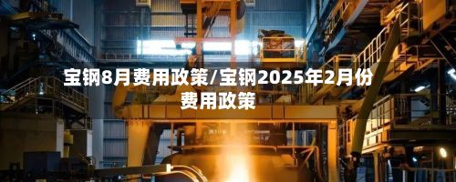 宝钢8月费用政策/宝钢2025年2月份费用政策-第2张图片