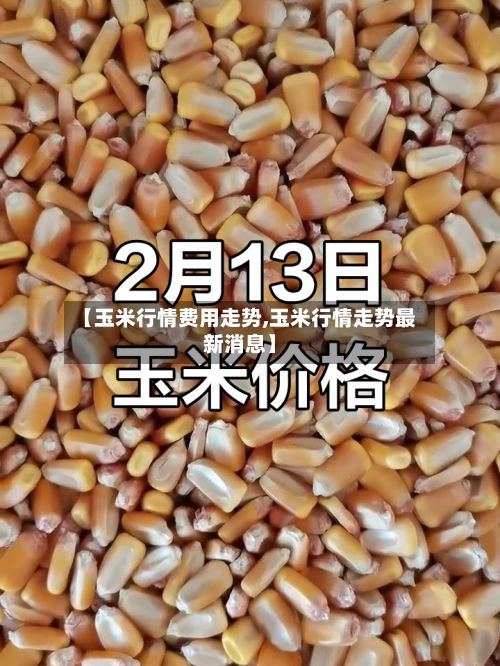 【玉米行情费用走势,玉米行情走势最新消息】-第2张图片