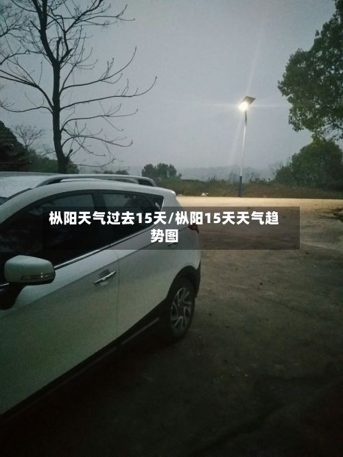 枞阳天气过去15天/枞阳15天天气趋势图