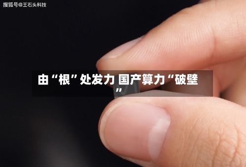 由“根”处发力 国产算力“破壁”