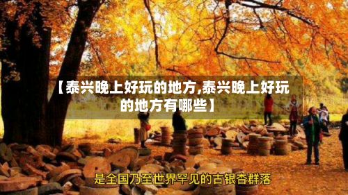 【泰兴晚上好玩的地方,泰兴晚上好玩的地方有哪些】
