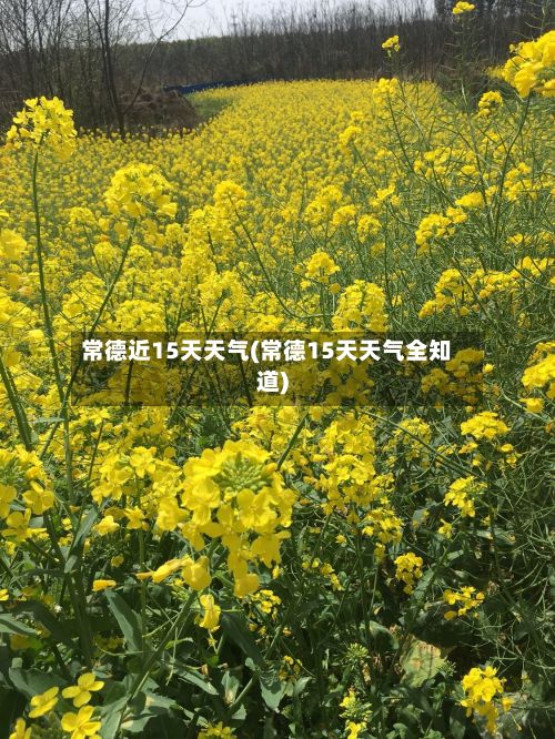 常德近15天天气(常德15天天气全知道)-第3张图片